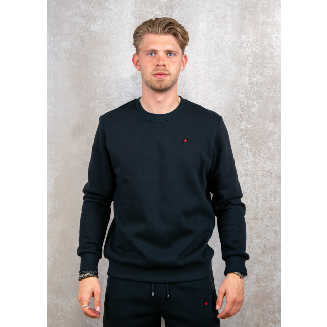 AB Lifestyle Canvas crewneck with print 130.10.0523 large