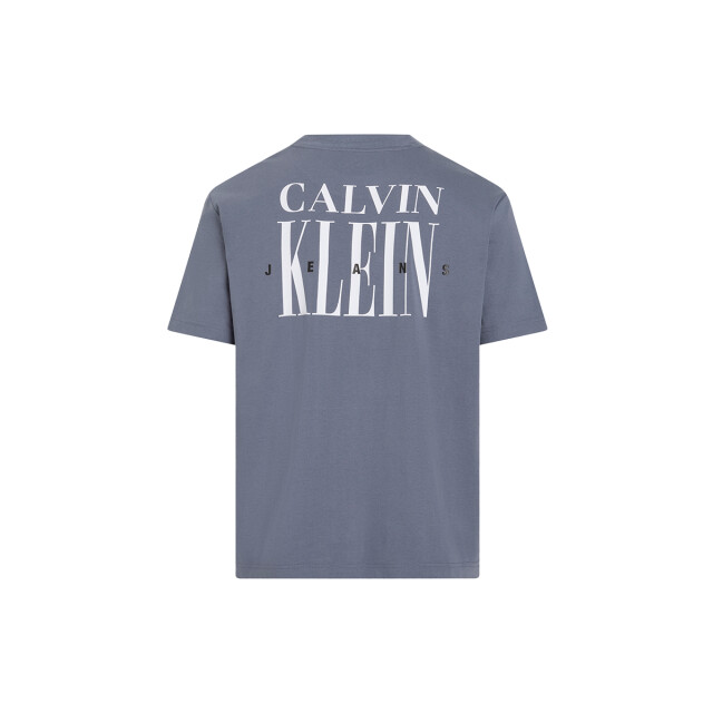 Calvin Klein Serif font graphic tee 100.30.1170 large