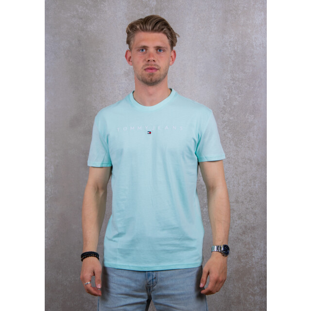 Tommy Hilfiger Reg linear logo tee 100.30.1177 large