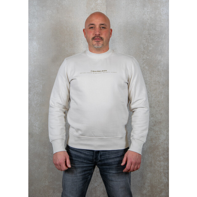 Calvin Klein Minimal logo crew neck 130.81.0070 large