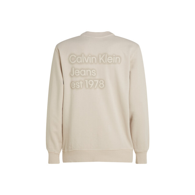 Calvin Klein Washed puff print crew neck 130.81.0069 large