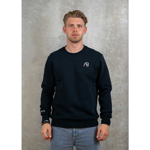 AB Lifestyle Ink sweater panda 130.10.0570 large