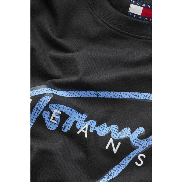 Tommy Hilfiger Reg rwb signature tee 100.10.1225 large