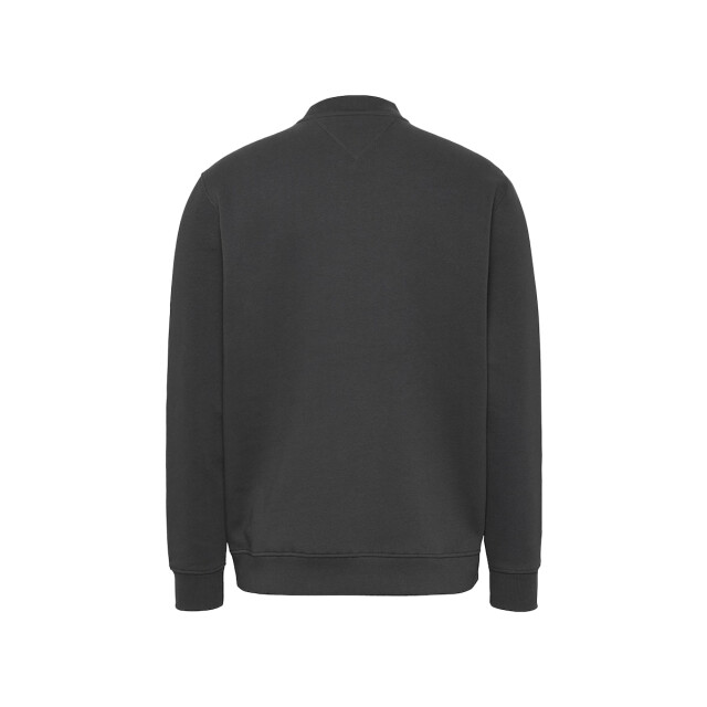 Tommy Hilfiger Reg linear crew ext 130.20.0219 large