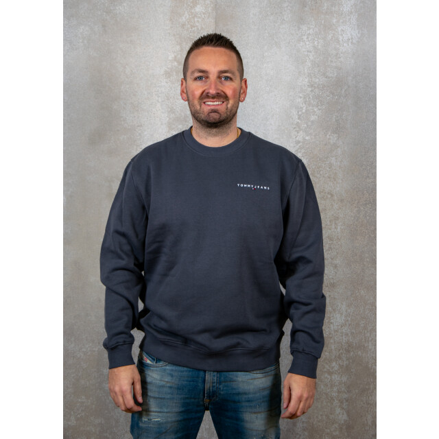 Tommy Hilfiger Reg linear crew ext 130.20.0219 large