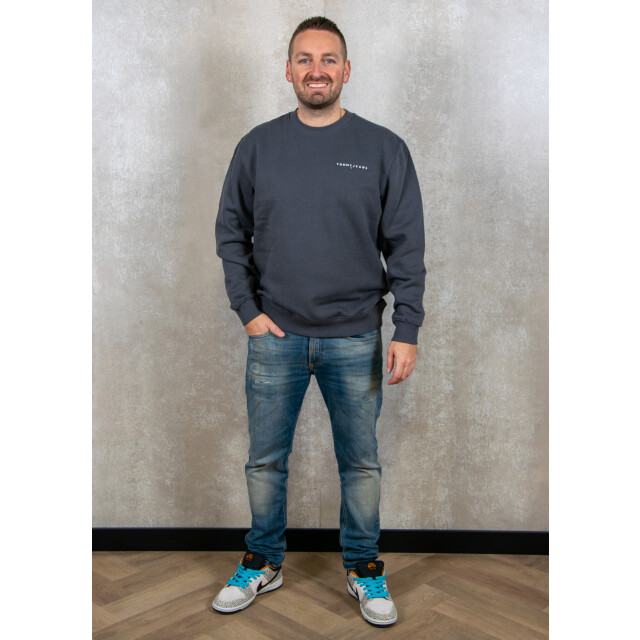 Tommy Hilfiger Reg linear crew ext 130.20.0219 large