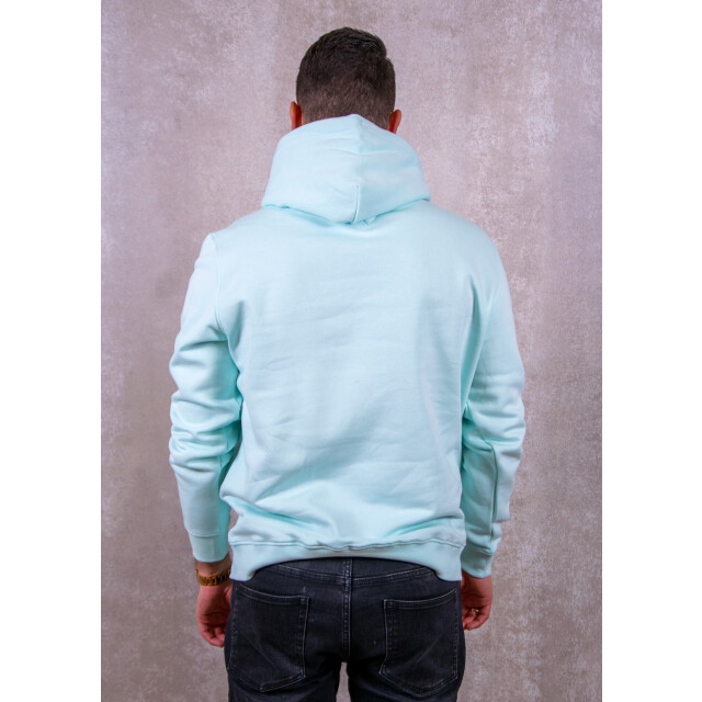 Tommy Hilfiger Reg linear logo hoodie 131.41.0020 large