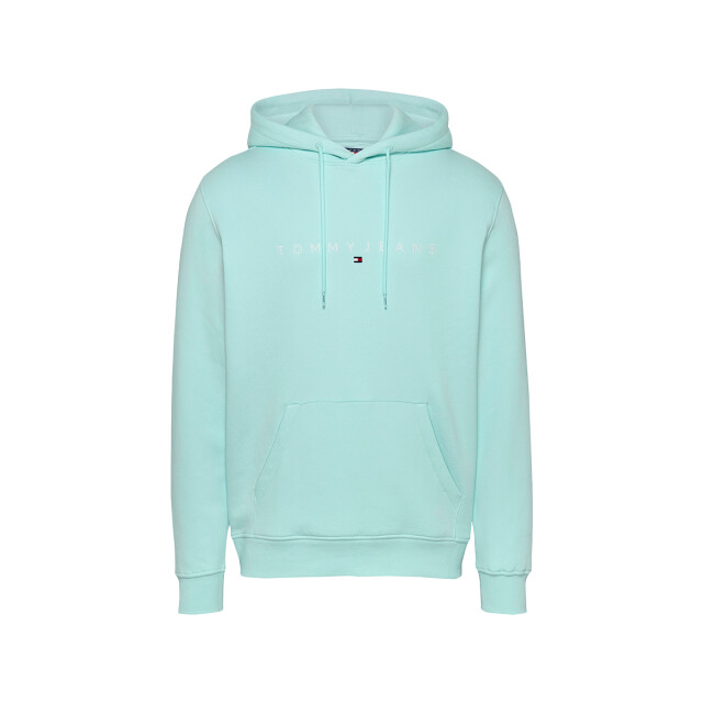 Tommy Hilfiger Reg linear logo hoodie 131.41.0020 large