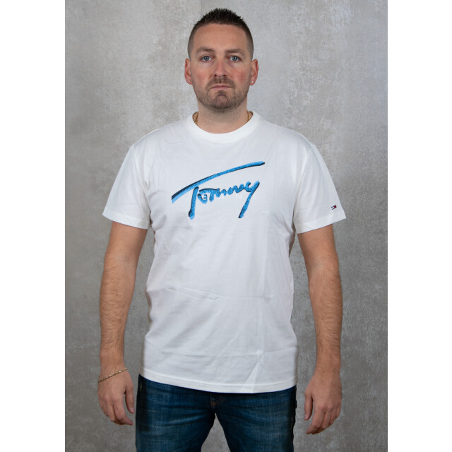 Tommy Hilfiger Reg rwb signature tee 100.01.0096 large