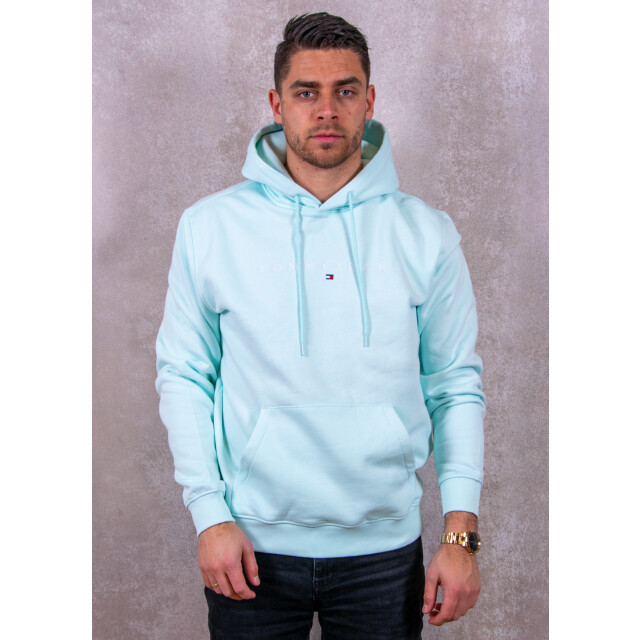 Tommy Hilfiger Reg linear logo hoodie 131.41.0020 large