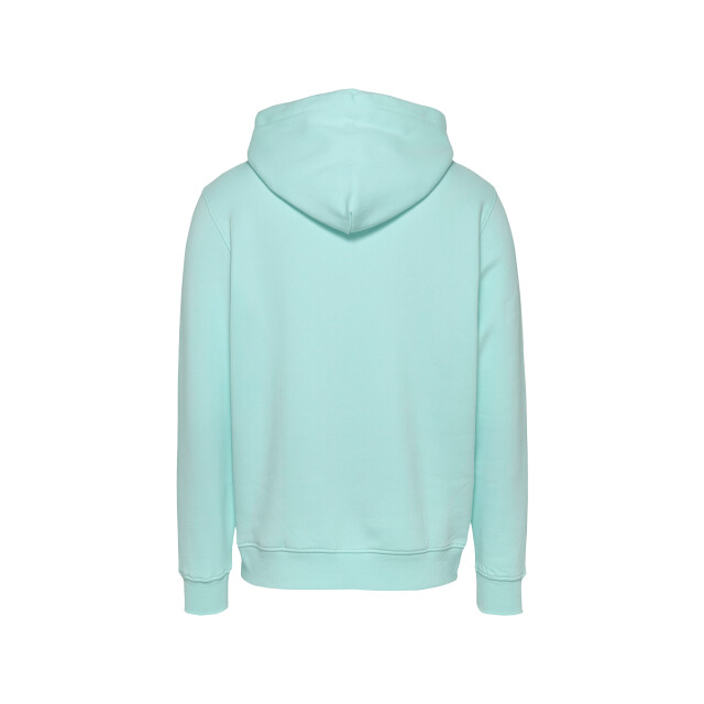 Tommy Hilfiger Reg linear logo hoodie 131.41.0020 large