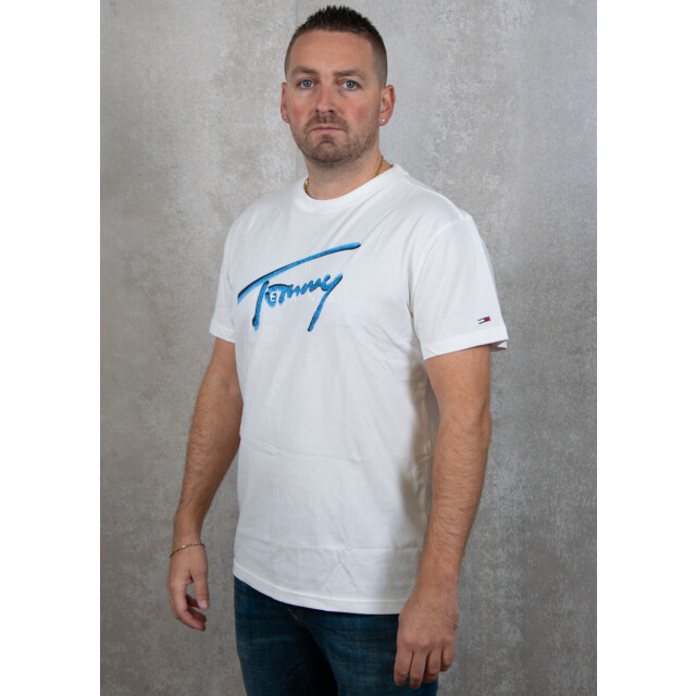 Tommy Hilfiger Reg rwb signature tee 100.01.0096 large