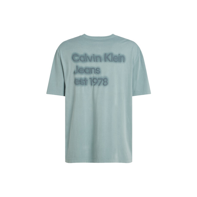 Calvin Klein Washed puff print tee 100.30.1151 large