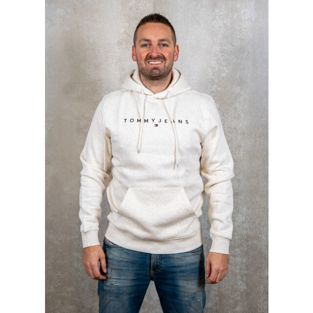 Tommy Hilfiger Reg linear logo hoodie ext 131.20.0169 large
