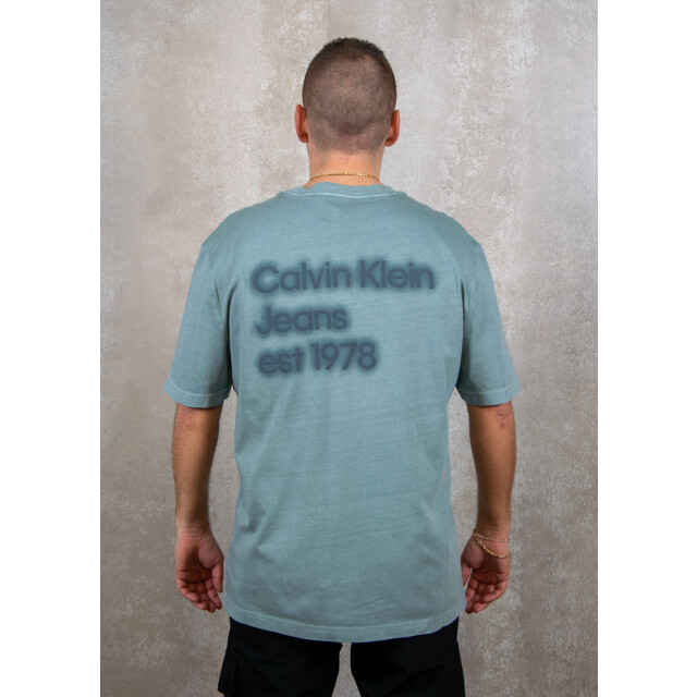 Calvin Klein Washed puff print tee 100.30.1151 large