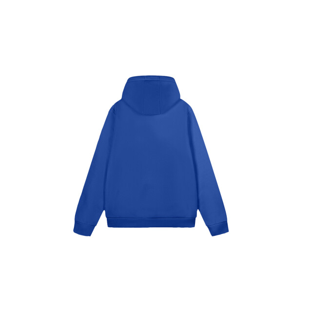 AB Lifestyle Basic hoodie 131.30.0299 large
