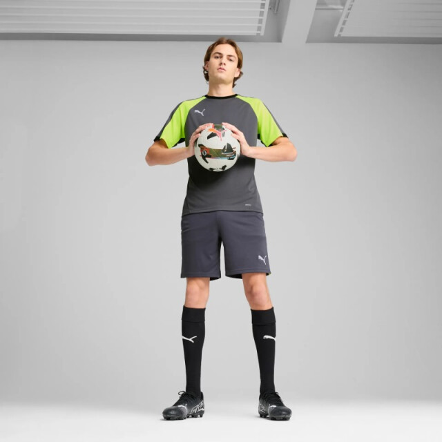 Puma Individualliga training sh 659519-08 PUMA individualliga training sh 659519-08 large