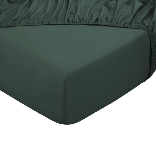 Phlox Hoeslaken 100% katoen satijnen (300 tc) tweepersoons 160x200 cm - 2892515 large