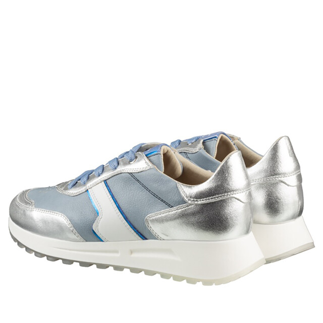 DL Sport 6203 versione 04 6203-04 large