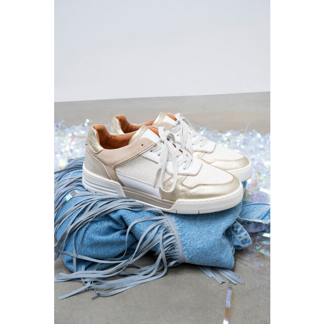 DWRS Label Rugby J6523-09-8618 large