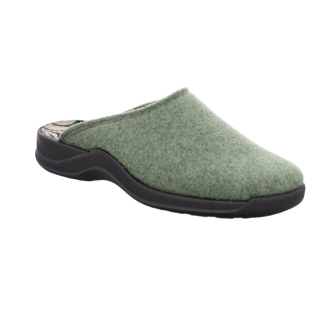 Rohde 2309-62 large