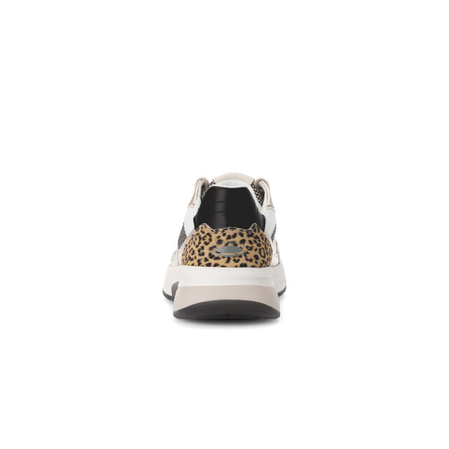 Gabor 66.846.89 Sneakers Beige 66.846.89 large