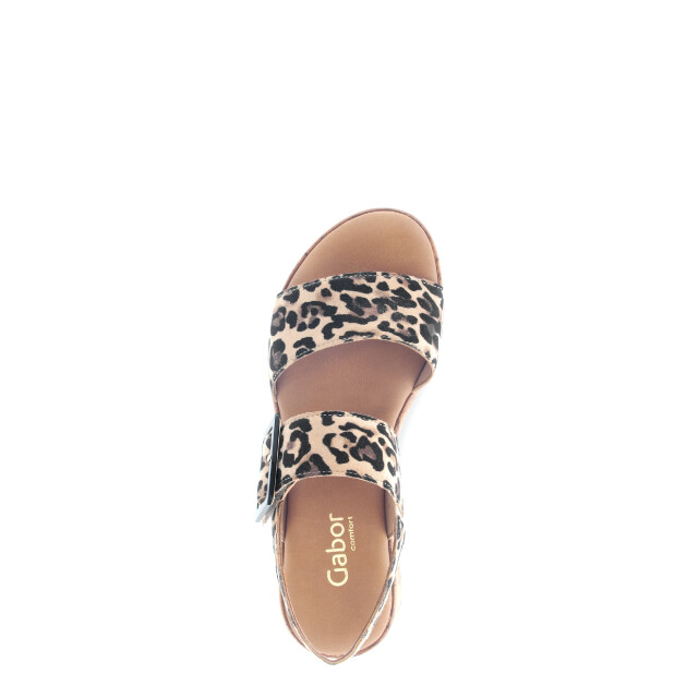 Gabor 62.744.90 Sandalen Print / Multi 62.744.90 large Gabor 62.744.90 Sandalen Print / Multi 62.744.90 large
