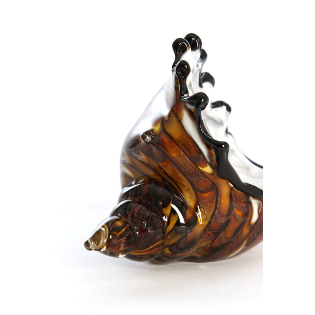 Light & Living ornament shell 22x10x12cm - 3184145 large