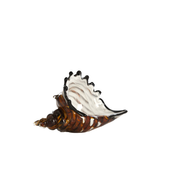 Light & Living ornament shell 22x10x12cm - 3184145 large