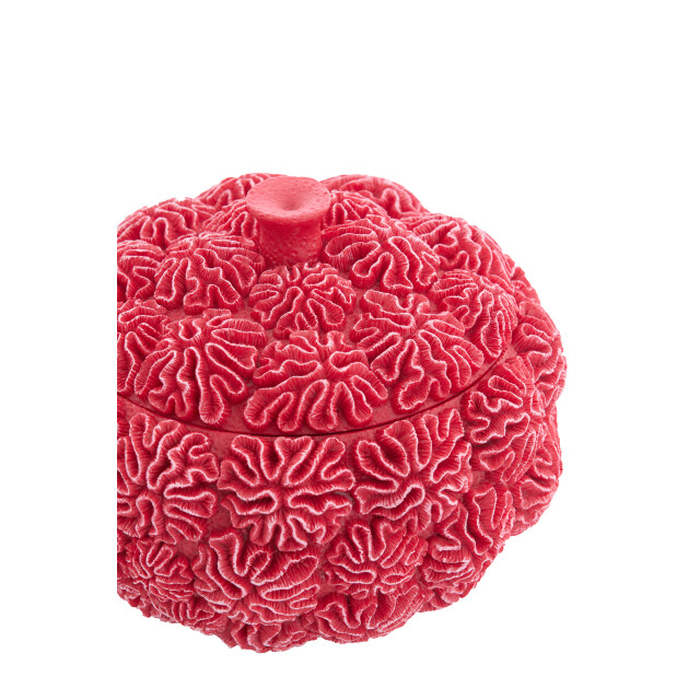 Light & Living deco box+deksel coral Ø17x16cm - 3184207 large