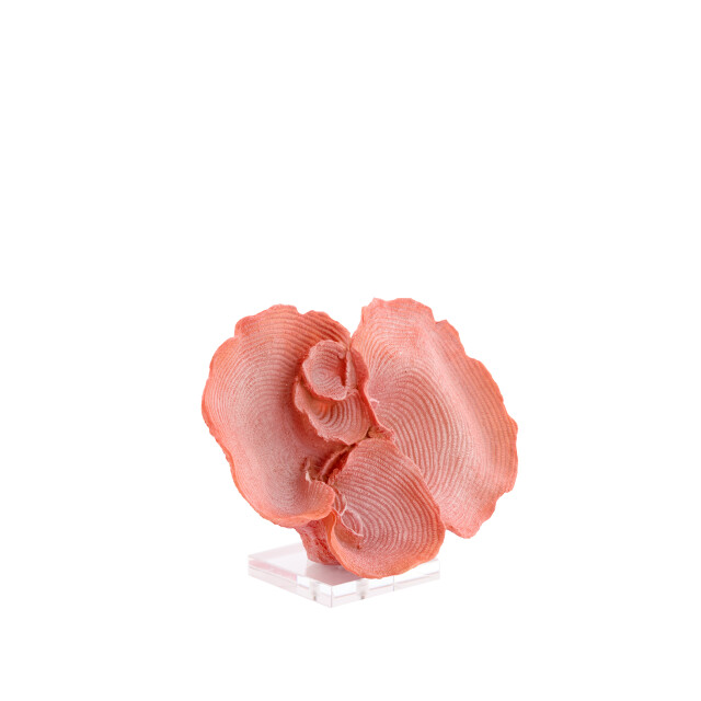 Light & Living ornament coral 33x14x23.5cm - 3184225 large