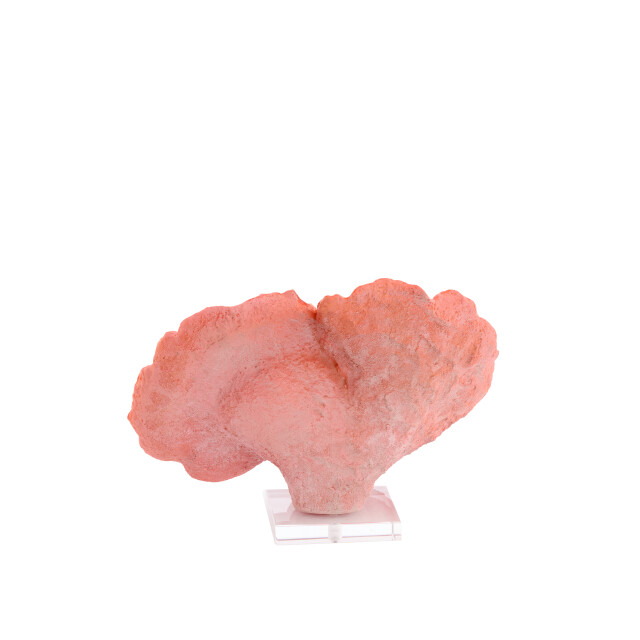 Light & Living ornament coral 33x14x23.5cm - 3184225 large