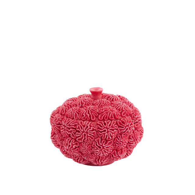Light & Living deco box+deksel coral Ø20x15.5cm - 3184625 large