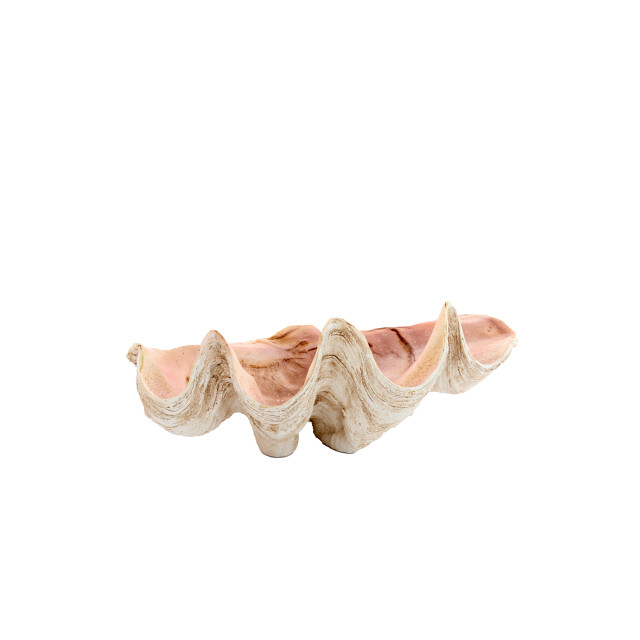Light & Living ornament shell 41x25x17cm - 3184559 large
