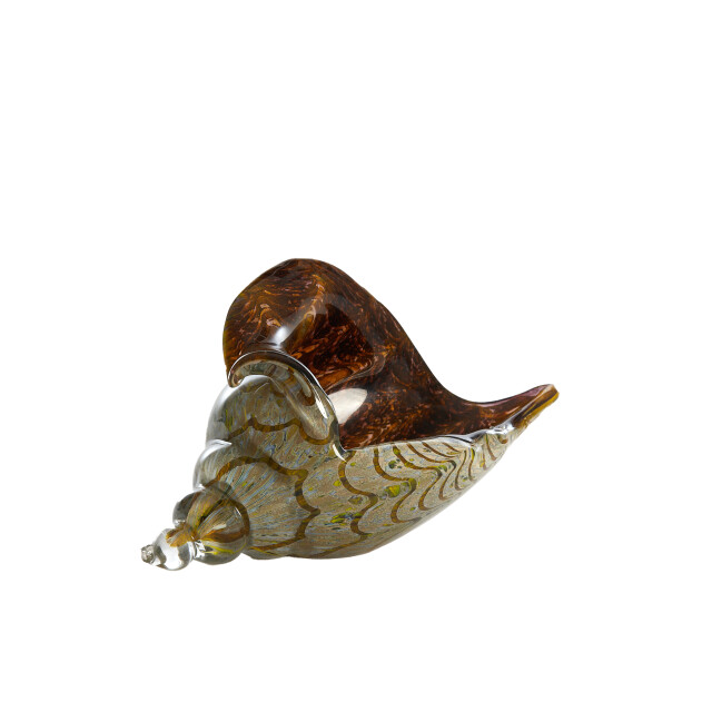 Light & Living ornament shell 28x12x16cm - 3184072 large