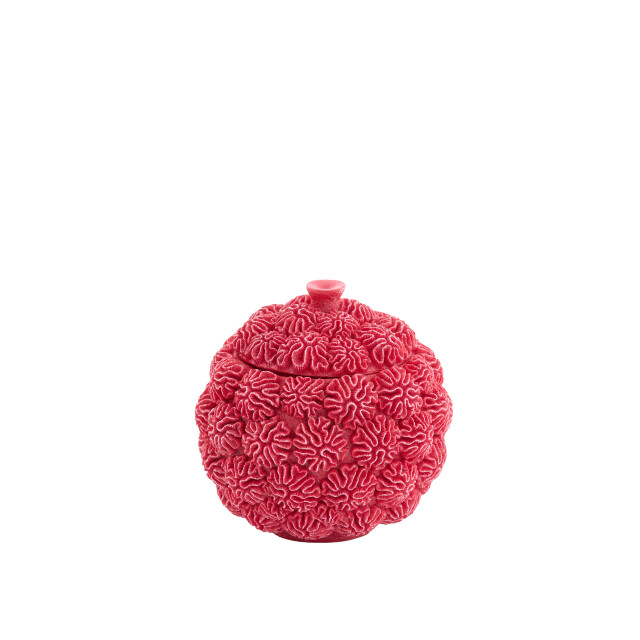 Light & Living deco box+deksel coral Ø17x16cm - 3184207 large