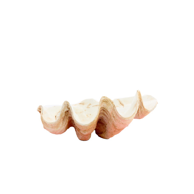Light & Living ornament shell 41x25x17cm - 3184603 large