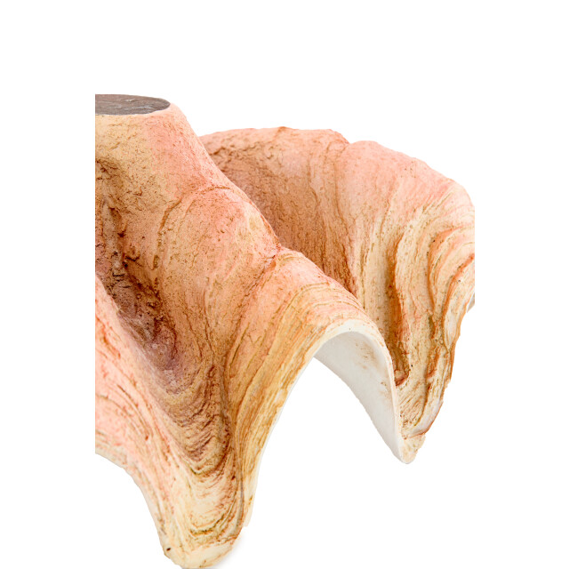 Light & Living ornament shell 41x25x17cm - 3184603 large