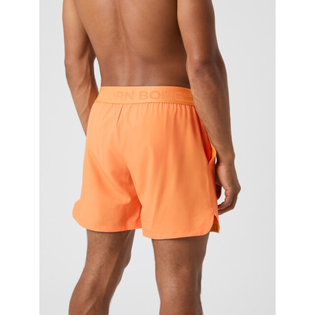 Björn Borg Borg short shorts 10003945-or057 Bjorn Borg borg short shorts 10003945-or057 large