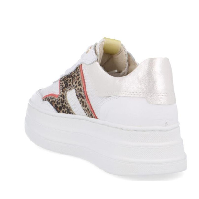 DL Sport 6512 6512/04 sun bianco large