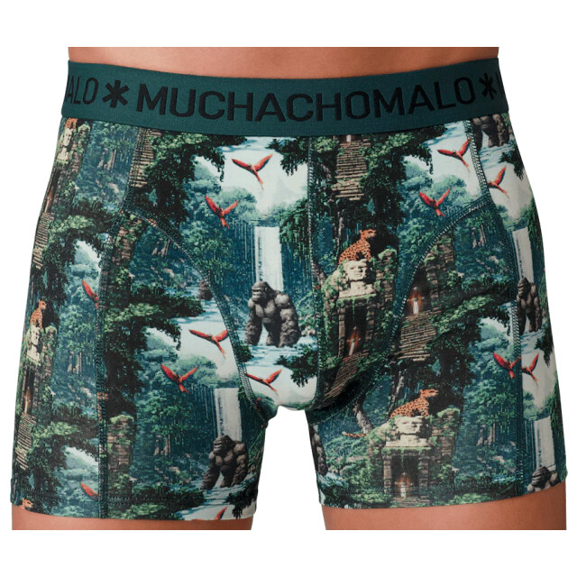 Muchachomalo Heren 12-pack boxershorts print/effen U-GOLDEN1010-14 large