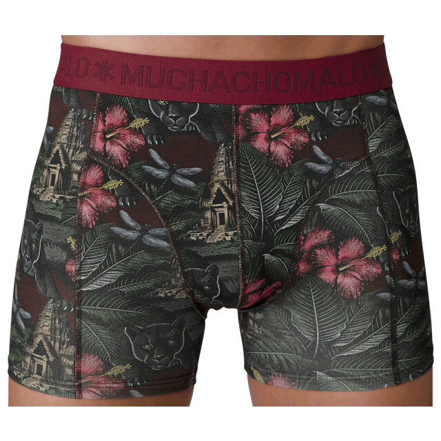 Muchachomalo Heren 12-pack boxershorts print/effen U-GOLDEN1010-14 large