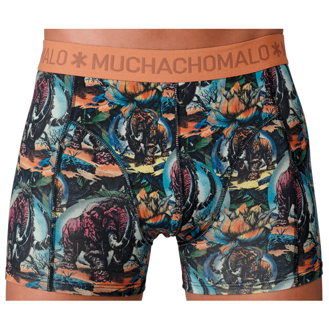Muchachomalo Heren 12-pack boxershorts print/effen U-GOLDEN1010-14 large