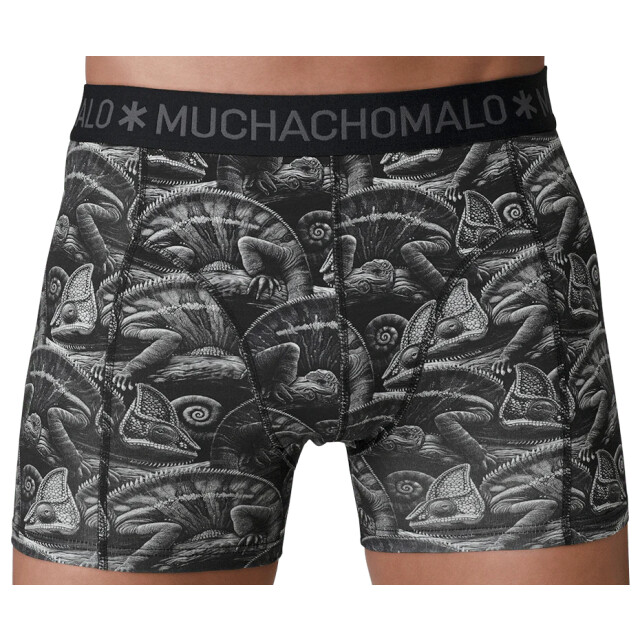 Muchachomalo Heren 12-pack boxershorts print/effen U-GOLDEN1010-14 large