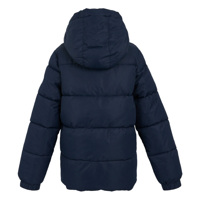 Regatta Dames arilie gewatteerd jasje UTRG10983_navy large