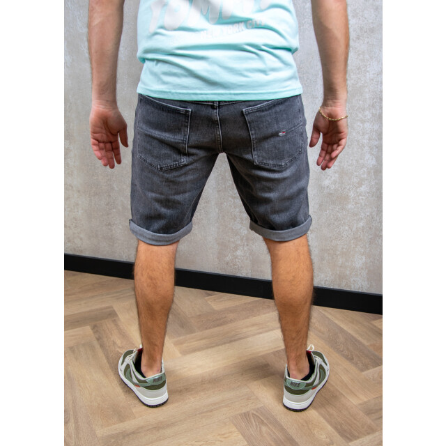 Tommy Hilfiger Ronnie short bi0177 151.10.0026 large