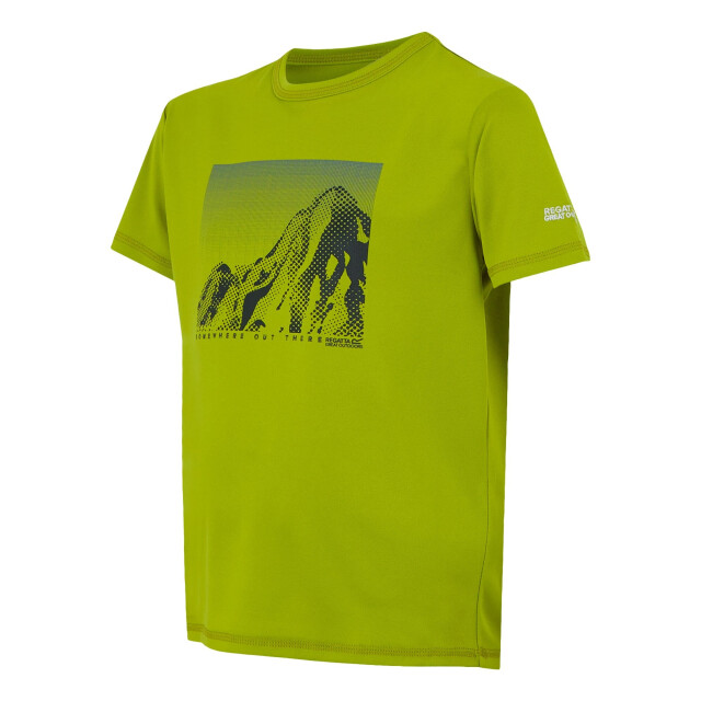 Regatta Kinderen/kinderen alvarado ix berg t-shirt UTRG11930_grenoblegreen large