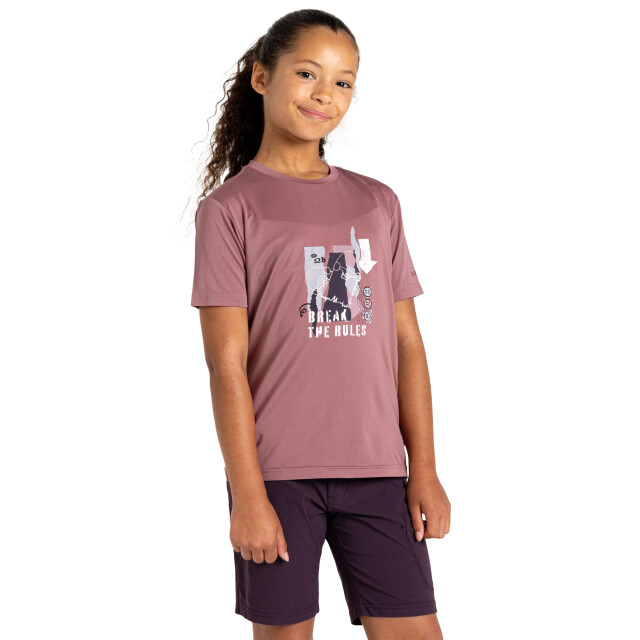 Dare2b Kinderen/kinderen breek de regels amuse ii t-shirt UTRG11935_mauve large