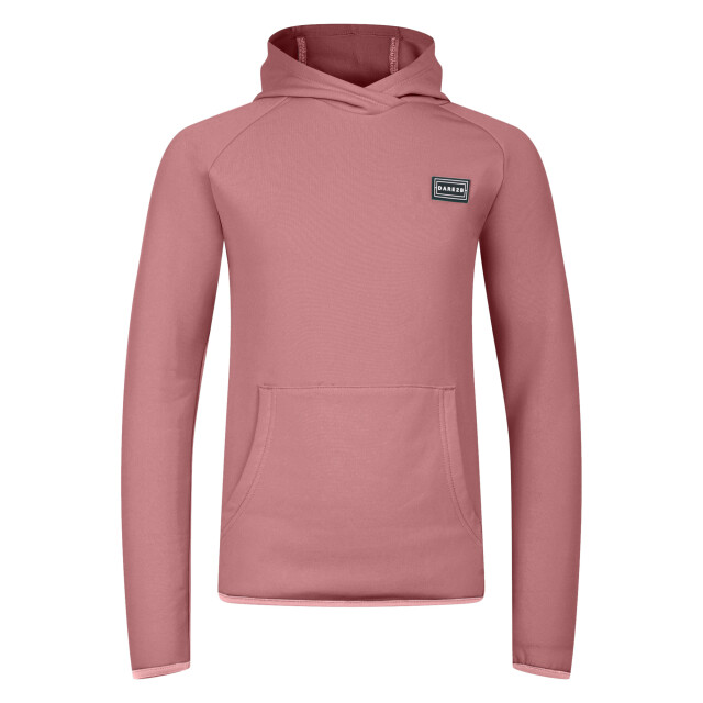 Dare2b Kinderen/kinderen traverse hoodie UTRG11960_dustyrose large