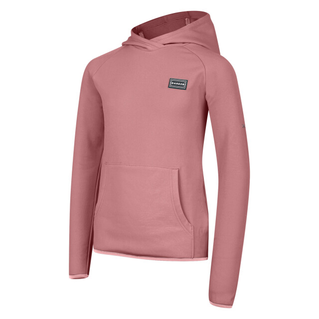 Dare2b Kinderen/kinderen traverse hoodie UTRG11960_dustyrose large
